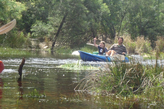 Kayaking on the Goukamma River