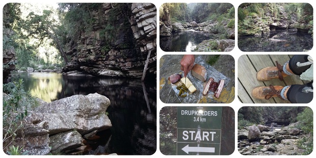 Drupkelders Trail, Knysna Forest, hiking, Knysna tourism, mountain pools, forest hike